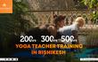 Yoga Teacher Training In Rishikesh India - Rys 200, 300 & 500