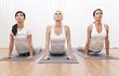 Ecohealth & Wellness